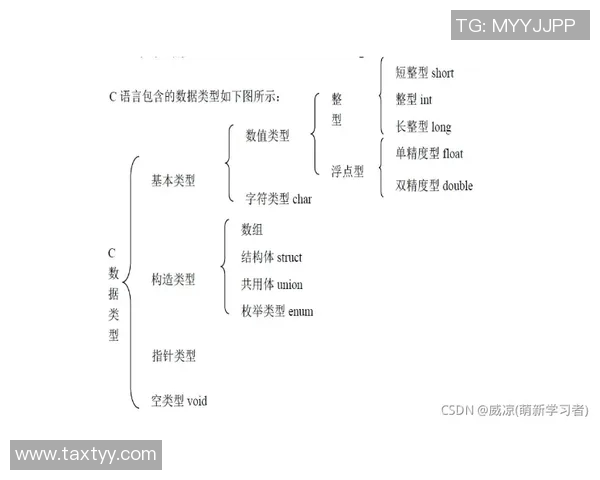 全面解密体能训练流程从入门到进阶的完整指南